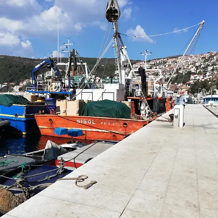 Mare Losinjska 16