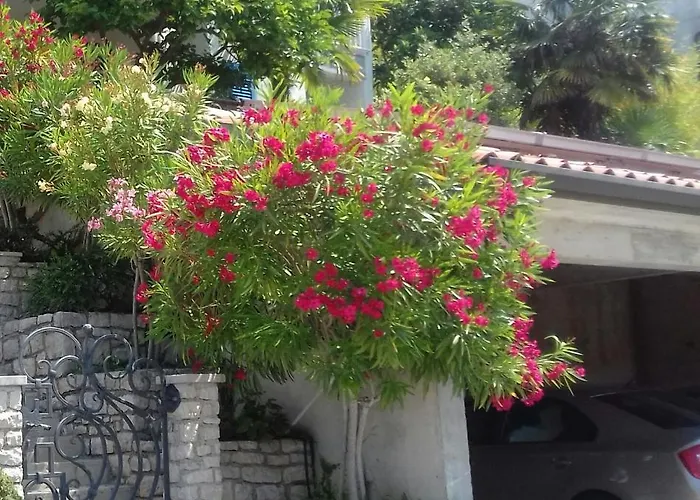 Mare Losinjska 16 아파트