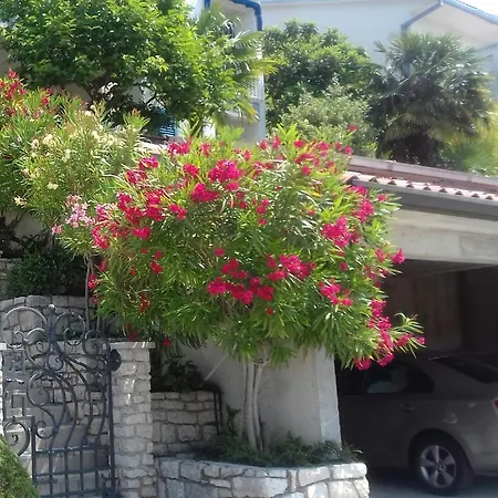 Mare Losinjska 16 Apartment